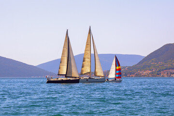 Fototapeta premium Mediterranean landscape with sailing boats on water. Montenegro, Adriatic Sea, Bay of Kotor near Tivat city