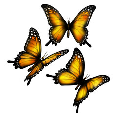 set of butterflies