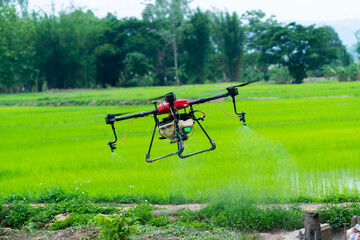 agriculture drone carry a tank of liquid fertilizer flying to spray it in rice area
