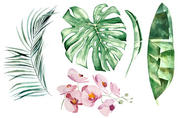 Watercolor tropical leaves and flowers illustration