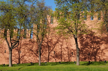 Obraz premium the kremlin wall