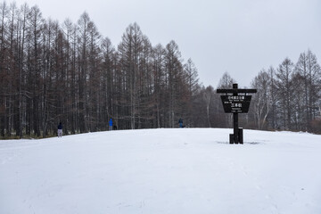 栃木県日光市 雪の戦場ヶ原 三本松