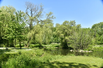 La végétation luxuriante au printemps autour d'un étang au parc Roi Baudoin à Jette 