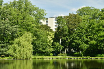 Immeuble &agrave; appartements modernes &eacute;mergeant entre deux arbres au parc des &eacute;tangs Tenreuken &agrave; Watermael-Boitsfort 