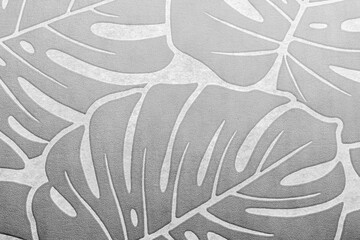 Gray pattern with monstera palm branches, tropical tree leaves