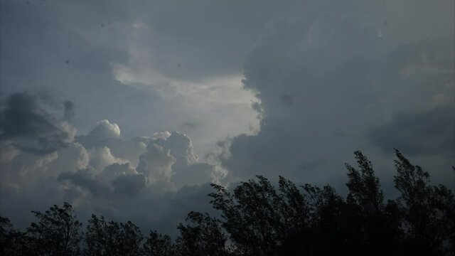 Thunderstorm and Heavy rain on Cloudy grey Sky, Trees bending in the strong wind.