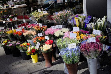 Flowers for sale