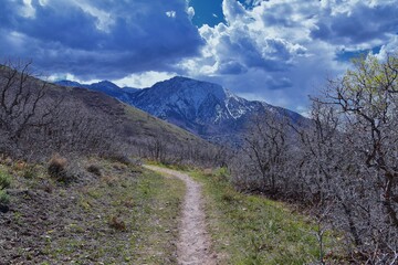 Grandeur Peak hiking trail loop views spring back around Bonneville Shoreline Pipe Line Overlook Rattlesnake Gulch trail, Wasatch Front Rocky Mountains, by Salt Lake City, Utah. United States. USA