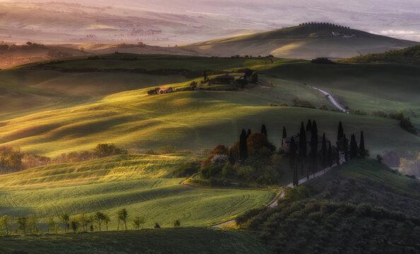 Italy, Tuscany, morning, scenic