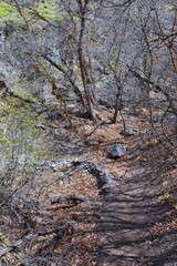 Grandeur Peak hiking trail loop views spring back around Bonneville Shoreline Pipe Line Overlook Rattlesnake Gulch trail, Wasatch Front Rocky Mountains, by Salt Lake City, Utah. United States. USA
