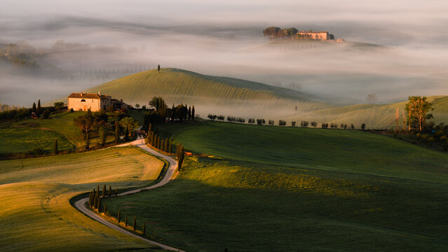 Italy, Tuscany, morning, scenic