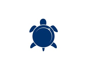 galaxy space turtle shield