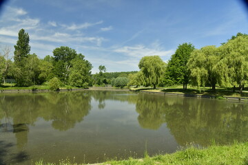 Fototapeta na wymiar Le grand étang de Neerpede entouré de végétation luxuriante à l'ouest d'Anderlecht 