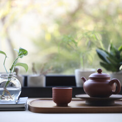 Clay tea cup and teapot with plant in glass vase