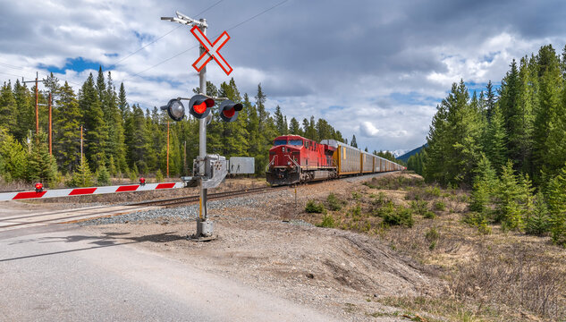 Freight train approaching a level road crossing in Banff National Park, Alberta, Canada