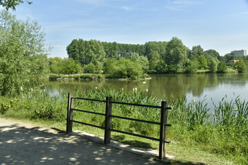 Fototapeta na wymiar Végétation sauvage et dense à l'extrémité du grand étang de Neerpede à l'ouest d'Anderlecht 