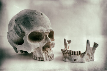 Obraz premium tête de mort, crane humain