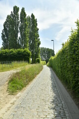 Chemin pavé à l'une des sortie du parc Neerpede à Anderlecht 