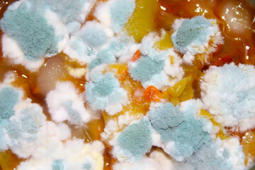 Mold in food. Close-up. Top view. Background. Texture.