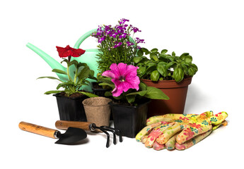 Garden accessories, gloves, watering cans, flowers in a pot on a white background. The concept of summer farming, planting flowers and growing in a vegetable garden and flower garden