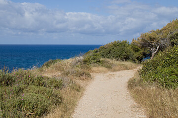 dirt road to the sea