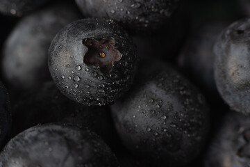 Fresh blueberries background with water drops.