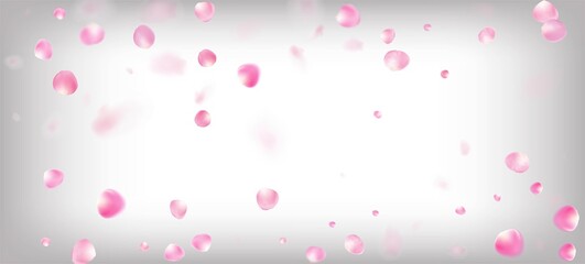 Rose Petals Falling Confetti. Blooming Cosmetics Ad Beautiful Flower