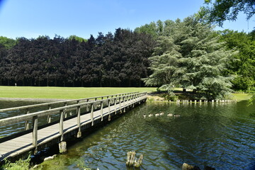 Fototapeta na wymiar Le pont en bois traversant l'extrémité est du canal à l'entrée d'un des étangs au parc de Tervuren 