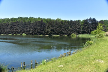 L'un des étangs aux berges érodée entouré d'un bois dense au parc de Tervuren
