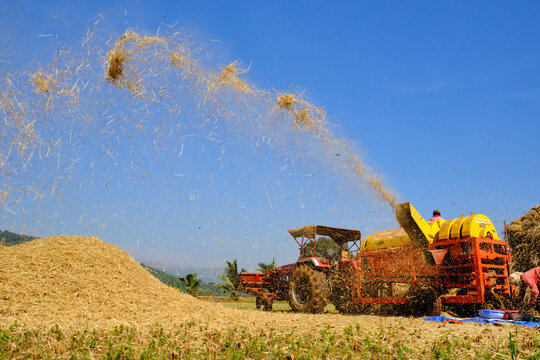 09 December 2020, Farm worker harvesting rice with, harvesting machine in Bhor, Maharashtra, Pune