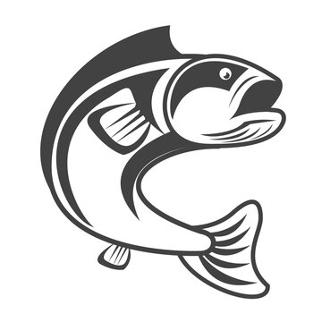 catfish jump fish sketch