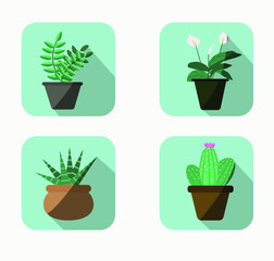 Domestic plants set, flat icons set for web site, social media community, posters. Cactus, zamiokulkas,succulent, spatiphillum, flower pot