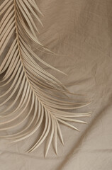 dry palm branch fabric background beige decor