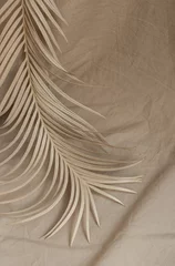 Fotobehang Tropisch dry palm branch fabric background beige decor  © yuriy