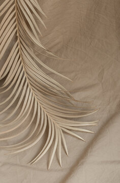 dry palm branch fabric background beige decor