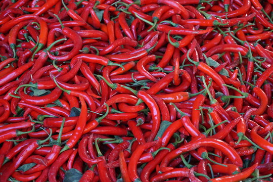 red hot chilli peppers background