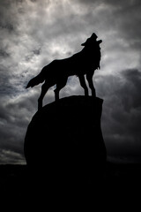 Isolated wolf detail with clouds background, black and white photo.