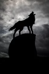 Deurstickers Isolated wolf detail with clouds background, black and white photo. © GeorgeVieiraSilva