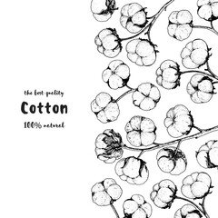 Cotton hand drawn sketch. Vintage vector illustration. Design template. Drawn with ink. Engraving style. Cotton illustration.