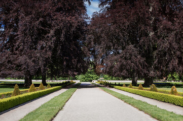 beautiful symmetrical park on a calm quiet summer day