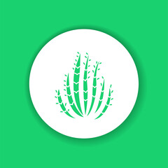 Cactus color glyph icon. Pictogram for web page,