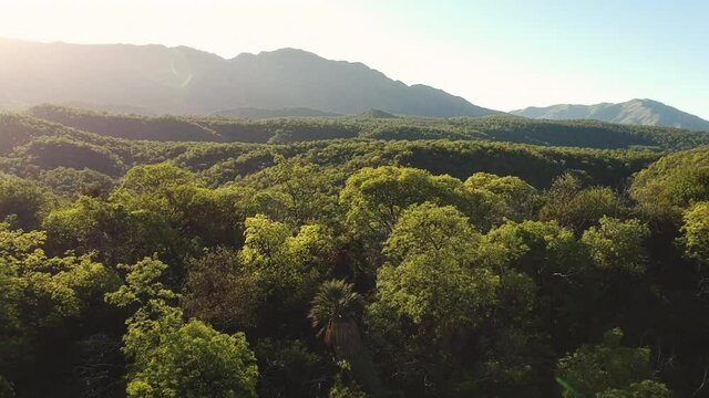 Aerial view mountains of Cordoba Argentina. View of mountains and trees for sale. FPV drone
