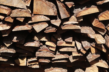 WOOD FOR FIREWOOD 1