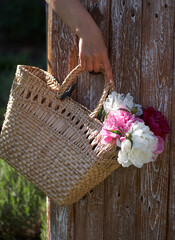 Flowers of pink red and white peonies in wicker basket on wooden table against wooden background. Women hand hold the basket with peonies.