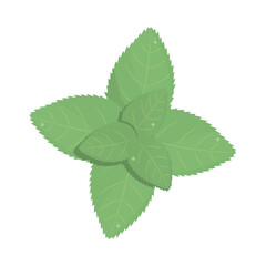 floral leaves botancial