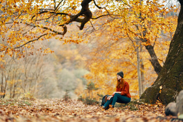 travel tourism woman model in autumn forest falling leaves landscape nature park
