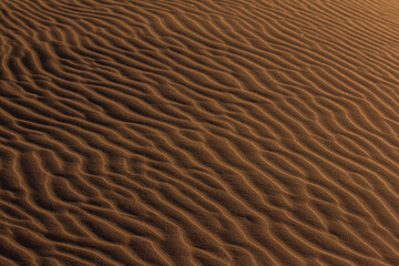 sand patterns in namib desert in sunrise light