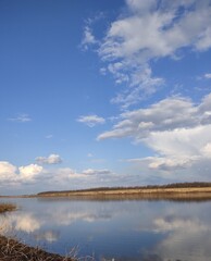 Красивый вид на природу