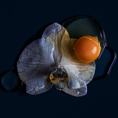 Egg and flower