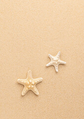 Summer sea or beach concept. Starfishes on sand. Top view. Copy space. Banner.